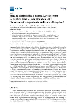 Hepatic Steatosis in a Bullhead (Cottus Gobio) Population from a High-Mountain Lake (Carnic Alps): Adaptation to an Extreme Ecosystem?