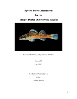 Species Status Assessment for the Trispot Darter (Etheostoma Trisella)