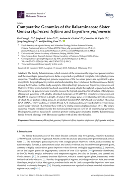 Comparative Genomics of the Balsaminaceae Sister Genera Hydrocera Triﬂora and Impatiens Pinfanensis