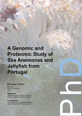 A Genomic and Proteomic Study of Sea Anemones and Jellyfish from Portugal”