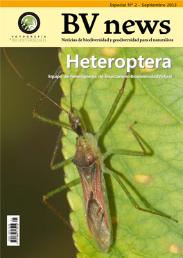 Especial Heteroptera Breve Introducción Al Suborden Heteroptera