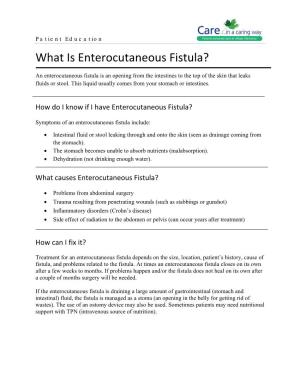 What Is Enterocutaneous Fistula?