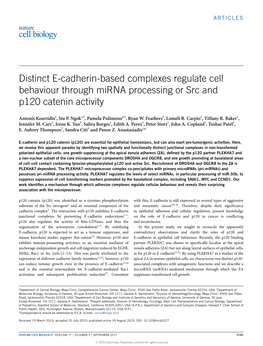 Distinct E-Cadherin-Based Complexes Regulate Cell Behaviour Through Mirna Processing Or Src and P120 Catenin Activity