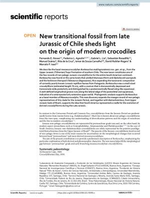 New Transitional Fossil from Late Jurassic of Chile Sheds Light on the Origin of Modern Crocodiles Fernando E