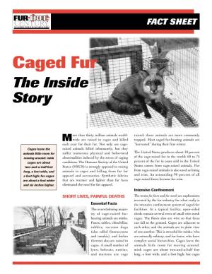 Caged Fur—The Inside Story How Do Fur Animals Die Warning! Brochure the Decline of the Fur Fashion Industry