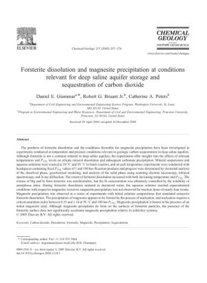 Forsterite Dissolution and Magnesite Precipitation at Conditions Relevant for Deep Saline Aquifer Storage and Sequestration of Carbon Dioxide