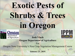 Exotic Pests of Shrubs & Trees in Oregon