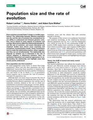 Population Size and the Rate of Evolution