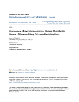 Development of &lt;I&gt;Hydrotaea Aenescens&lt;/I&gt; (Diptera: Muscidae) in Manure of Unweaned Dairy Calves and Lactating Cows