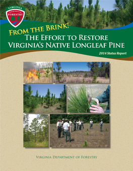 Longleaf Pine 2014 Status Report