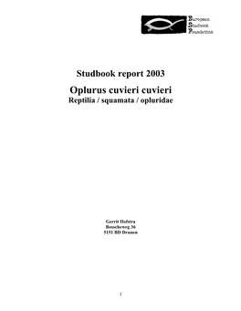 Studbook Report 2003 Oplurus Cuvieri Cuvieri Reptilia / Squamata / Opluridae
