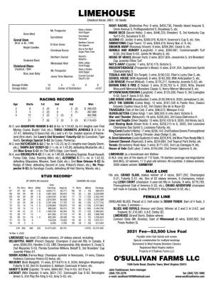 LIMEHOUSE Chestnut Horse, 2001; 16 Hands RISKY RACHEL (Distinctive Pro): 9 Wins, $493,736, Friendly Island Iro­Quois S, Mr