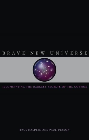 Halpern P., Wesson P. Brave New Universe.. Illuminating the Darkest