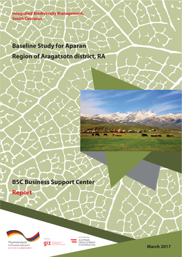 Baseline Study for Aparan Region of Aragatsotn District, RA BSC Business Support Center Report