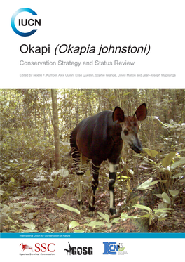 Okapi (Okapia Johnstoni) Conservation Strategy and Status Review
