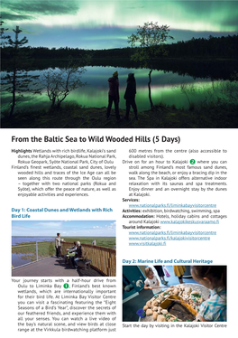 From the Baltic Sea to Wild Wooded Hills (5 Days)