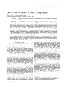 Larval Antennal Sensilla in Water-Living Insects