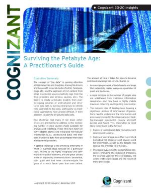 Surviving the Petabyte Age: a Practitioner's Guide