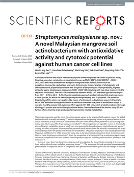 A Novel Malaysian Mangrove Soil Actinobacterium with Antioxidative Activity and Cytotoxic Potential Against Human Cancer Cell Lines