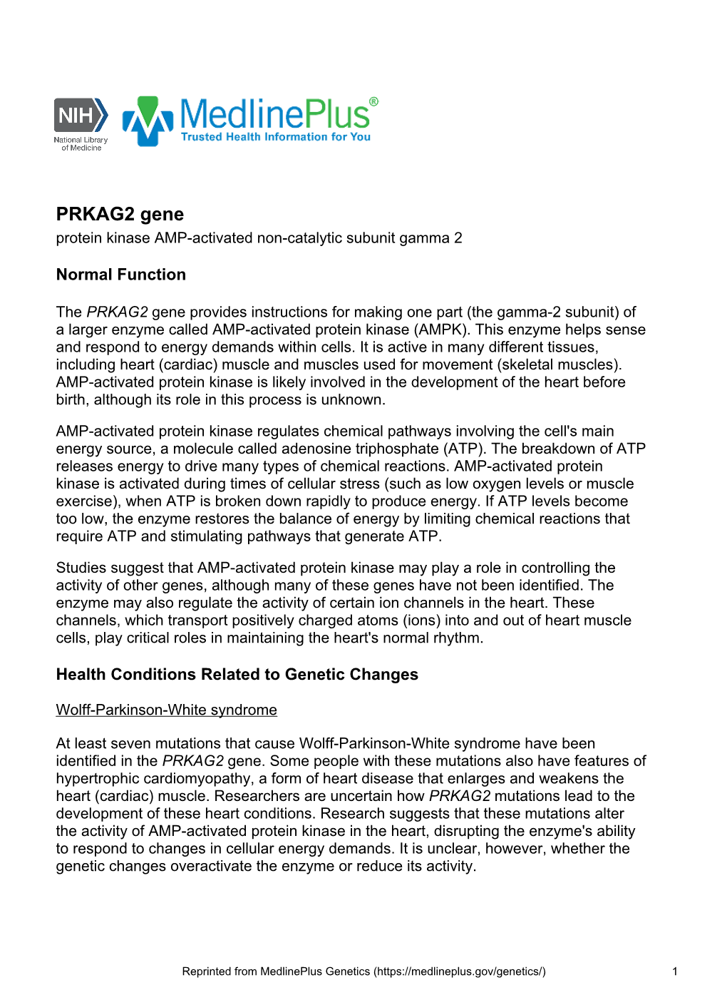 PRKAG2 Gene Protein Kinase AMP-Activated Non-Catalytic Subunit Gamma 2