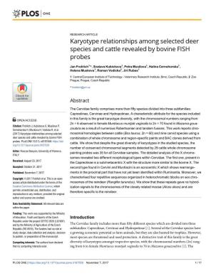 Karyotype Relationships Among Selected Deer Species and Cattle Revealed by Bovine FISH Probes