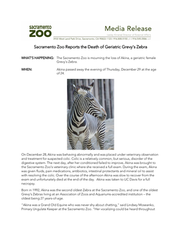 Sacramento Zoo Reports the Death of Geriatric Grevy's Zebra