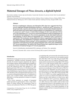 Maternal Lineages of Pinus Densata, a Diploid Hybrid