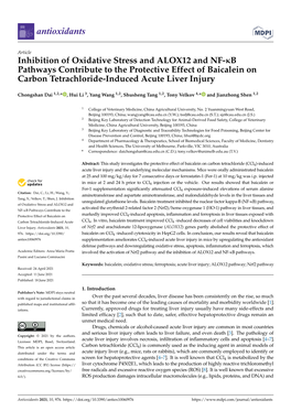 Inhibition of Oxidative Stress and ALOX12 and NF-B Pathways