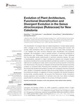 Evolution of Plant Architecture, Functional Diversification and Divergent Evolution in the Genus Atractocarpus (Rubiaceae) for N