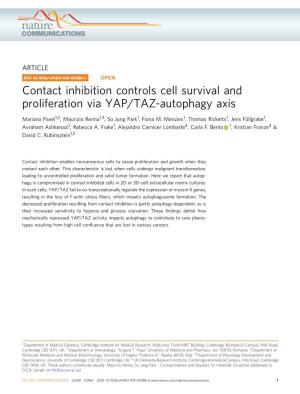 Contact Inhibition Controls Cell Survival and Proliferation Via YAP/TAZ-Autophagy Axis