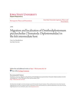 Migration and Localization of Ornithodiplostomum Ptychocheilus (Trematoda: Diplostomatidae) in the Fish Intermediate Host Gary Lee Hendrickson Iowa State University