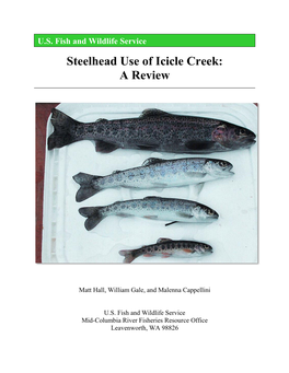 Steelhead Use of Icicle Creek: a Review ______