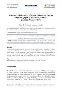 Unexpected Discovery of a New Podonychus Species in Kyushu, Japan (Coleoptera, Elmidae, Elminae, Macronychini)