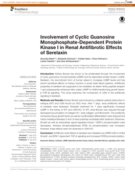 Involvement of Cyclic Guanosine Monophosphate-Dependent Protein Kinase I in Renal Antiﬁbrotic Effects of Serelaxin