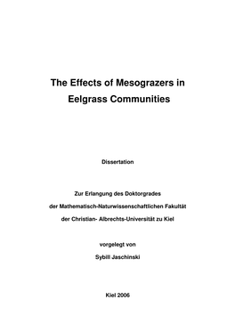 The Effects of Mesograzers in Eelgrass Communities