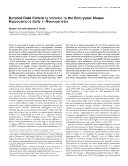 Detailed Field Pattern Is Intrinsic to the Embryonic Mouse Hippocampus Early in Neurogenesis