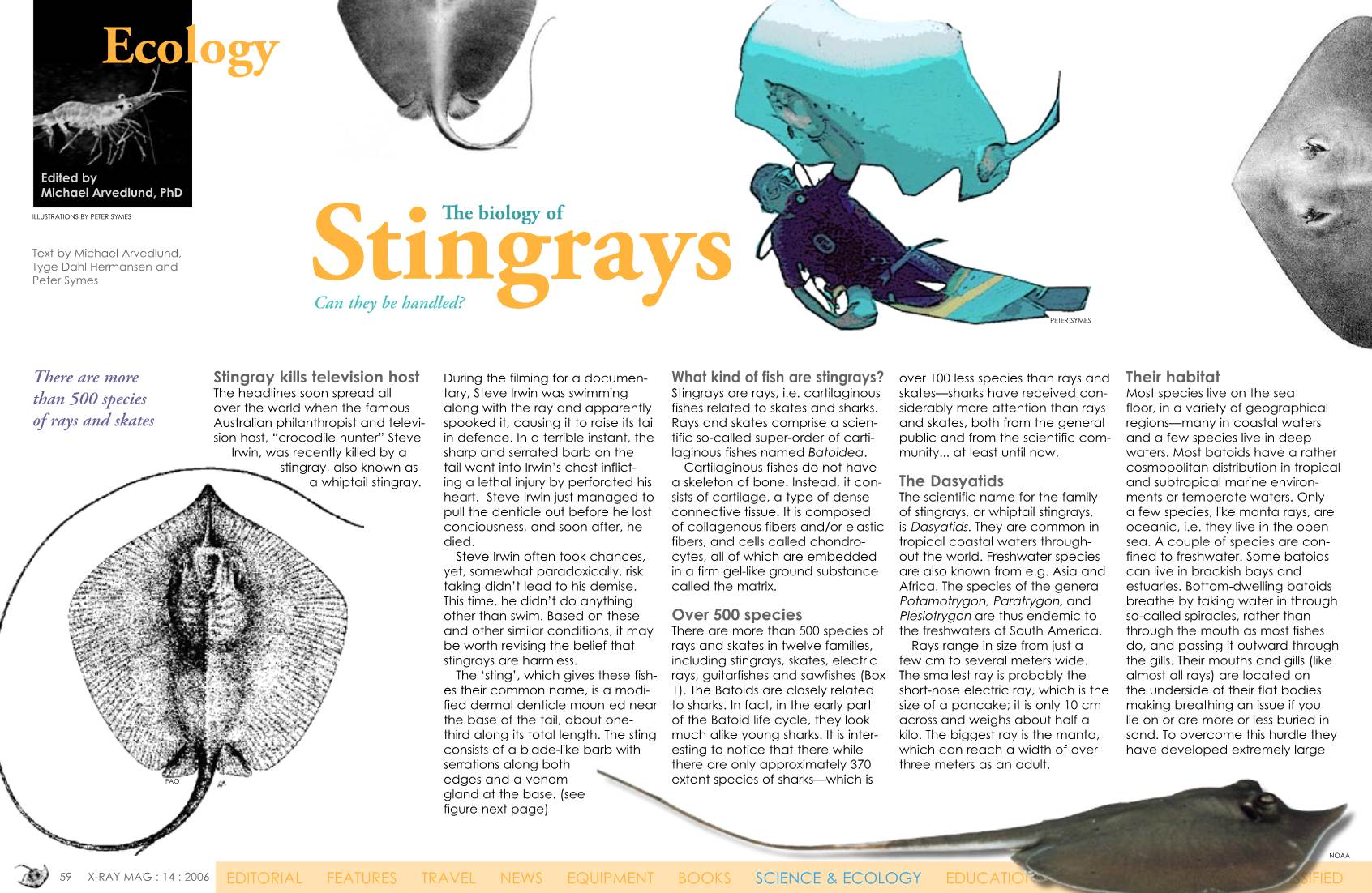 Stingrays Can They Be Handled? PETER SYMES