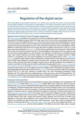 Regulation of the Digital Sector