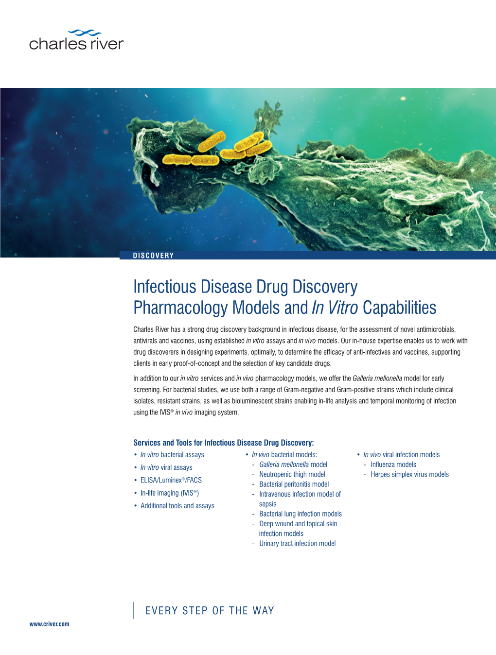 Infectious Disease Drug Discovery: Pharmacology Models and in Vitro