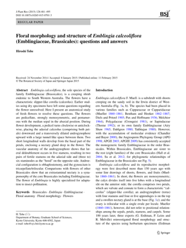 Floral Morphology and Structure of Emblingia Calceoliflora (Emblingiaceae, Brassicales): Questions and Answers