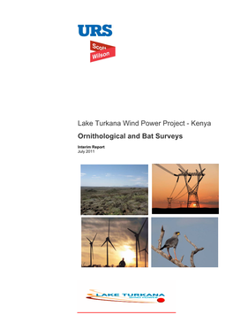 Lake Turkana Wind Power Project - Kenya Ornithological and Bat Surveys