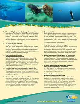 10 Ways Divers Can Help