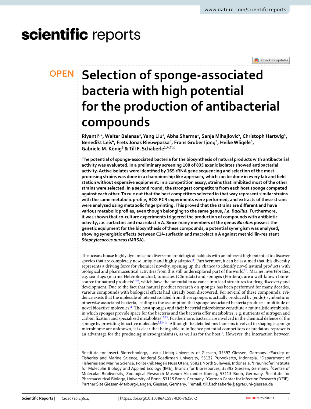 Selection of Sponge-Associated Bacteria with High Potential for The