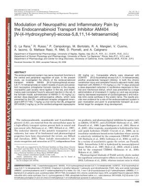 Modulation of Neuropathic and Inflammatory Pain by the Endocannabinoid Transport Inhibitor AM404 [N-(4-Hydroxyphenyl)-Eicosa-5,8,11,14-Tetraenamide]