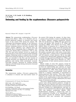 Swimming and Feeding by the Scyphomedusa Chrysaora Quinquecirrha