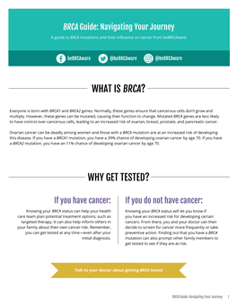 The BRCA Guide