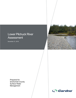 Lower Pilchuck River Assessment