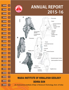 2015-16 Annual Report 2015-16 STATEMENT of ACCOUNTS of STATEMENT STATEMENT of ACCOUNTS of STATEMENT