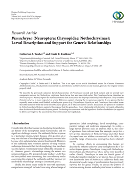 Pimachrysa (Neuroptera: Chrysopidae: Nothochrysinae): Larval Description and Support for Generic Relationships