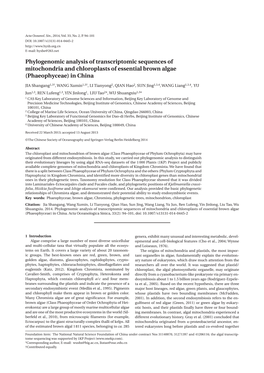 Phylogenomic Analysis of Transcriptomic Sequences of Mitochondria and Chloroplasts of Essential Brown Algae (Phaeophyceae) in China